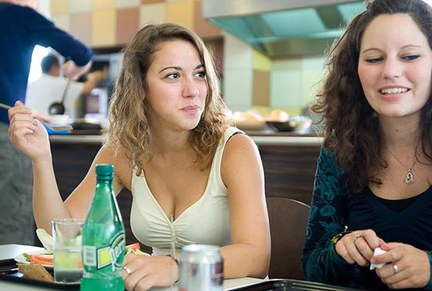 Mahlzeitschecks und Ökoschecks