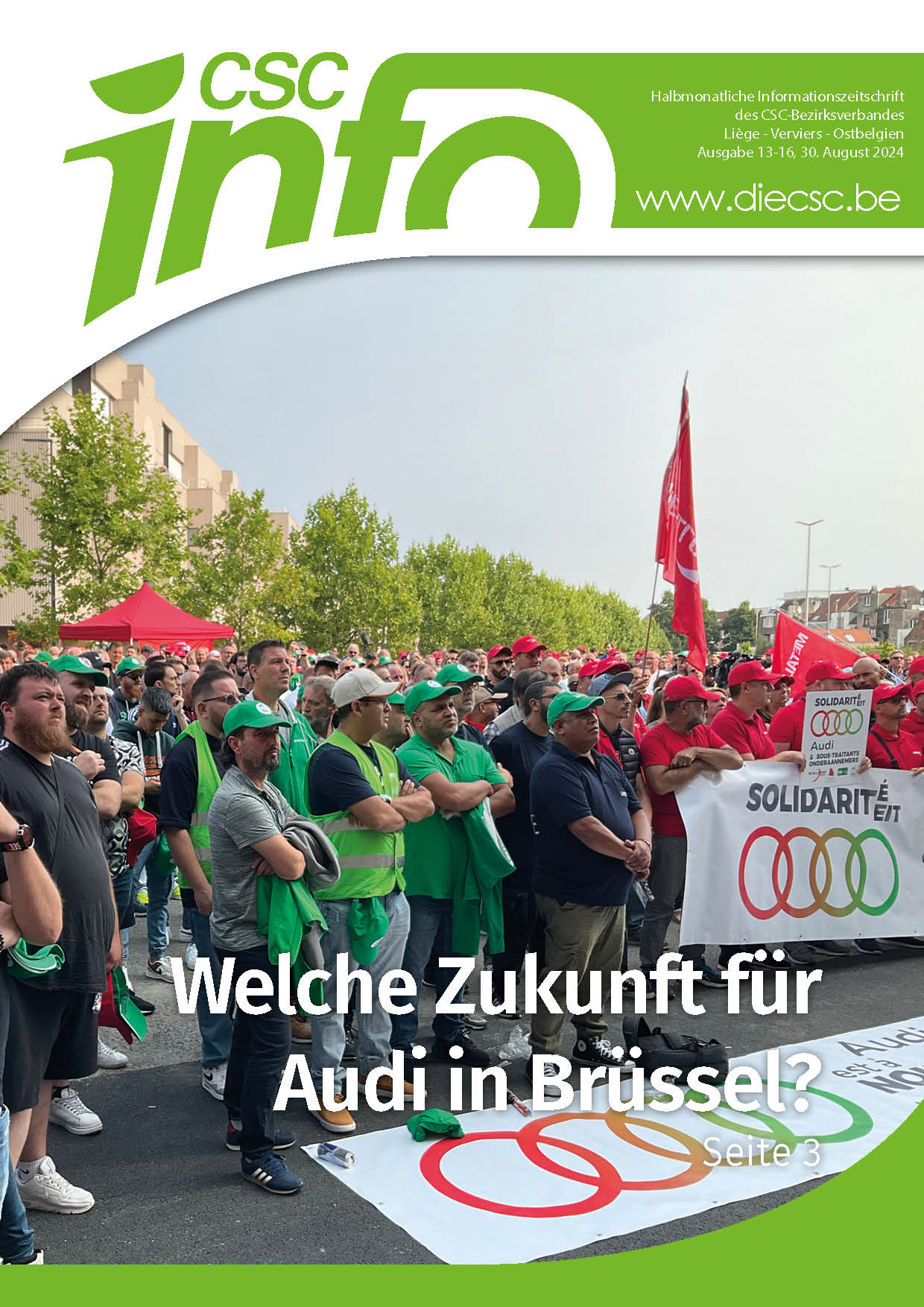 cscinfo13-16300824-Bild